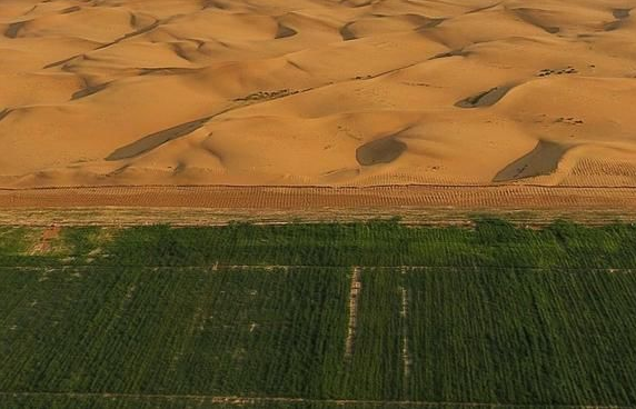 聚合氯化鋁和聚丙烯酰胺哪個能防沙固沙？